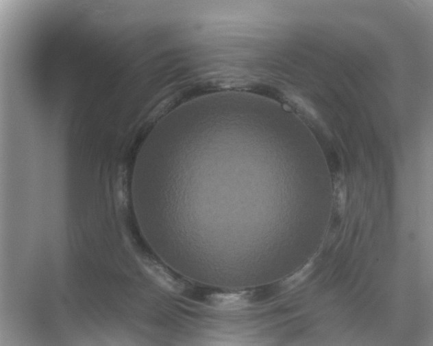 X0000071760170200607150011