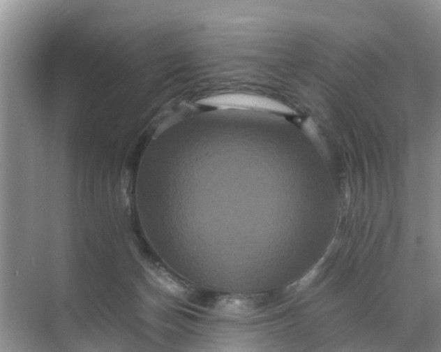 X0000071760174200607150012