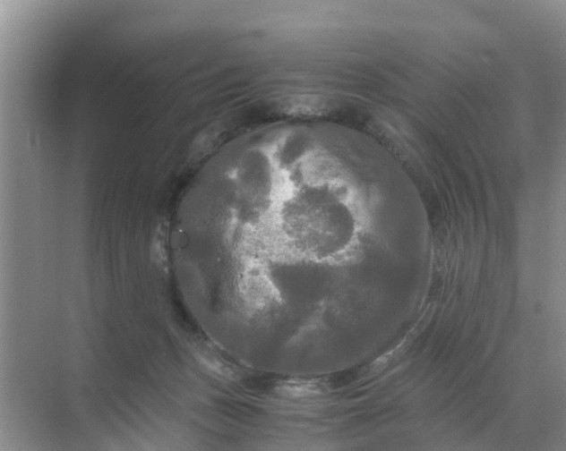 X0000071760175200607150012