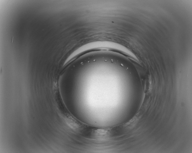 X0000071760176200607150012