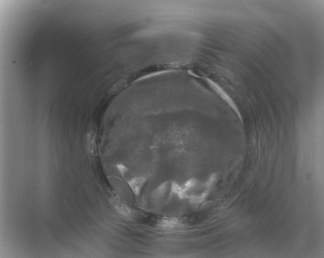 X0000071760177200607150012