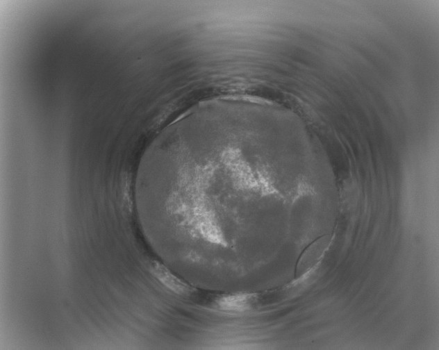 X0000071760178200607150012