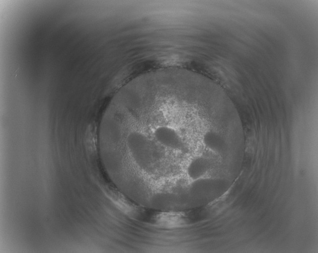 X0000071760179200607150012