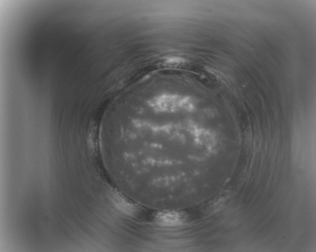 X0000071760181200607150012