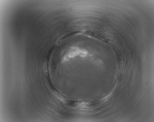 X0000071760182200607150012