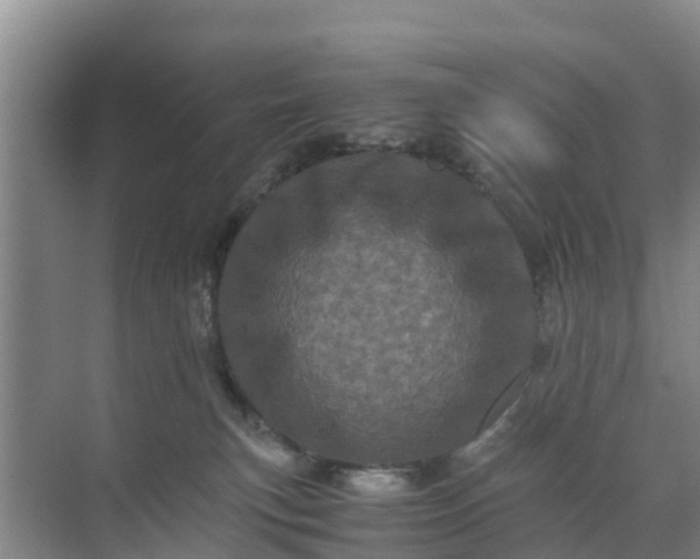 X0000071760183200607150012