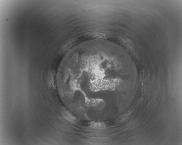 X0000071760185200607150012