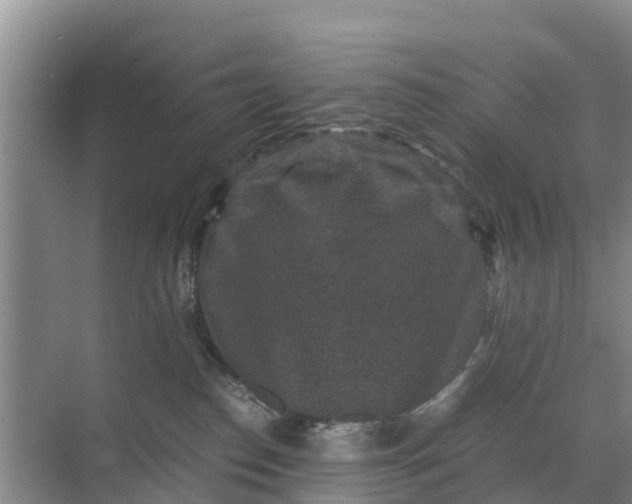 X0000071760186200607150012