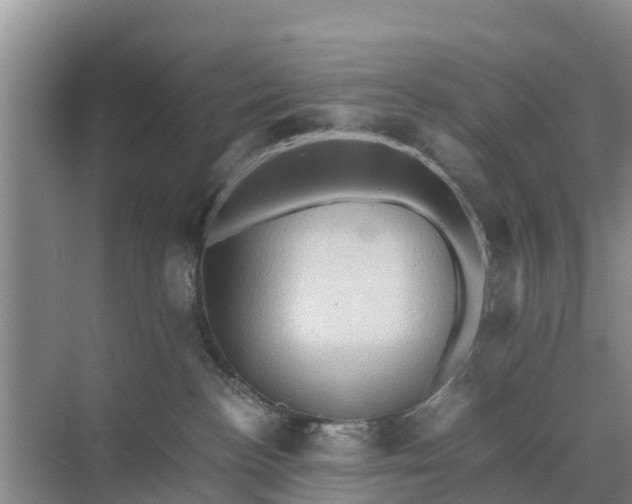 X0000071760188200607150012