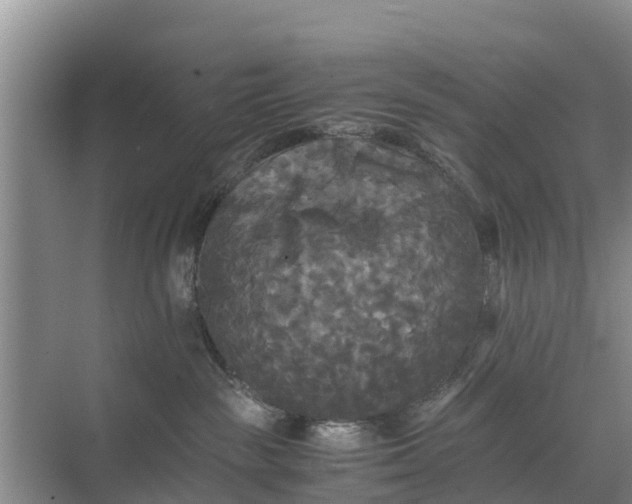 X0000071760189200607150012