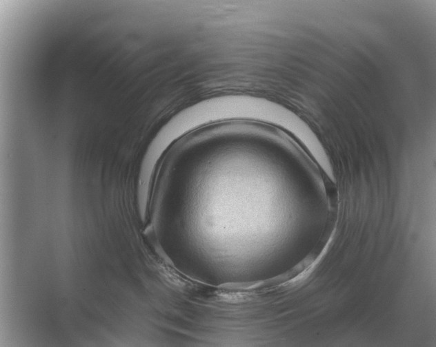 X0000071760190200607150012