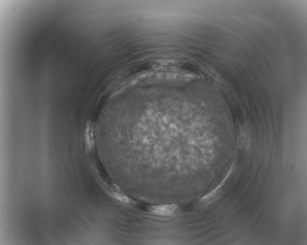 X0000071760191200607150012