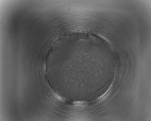 X0000071760192200607150012