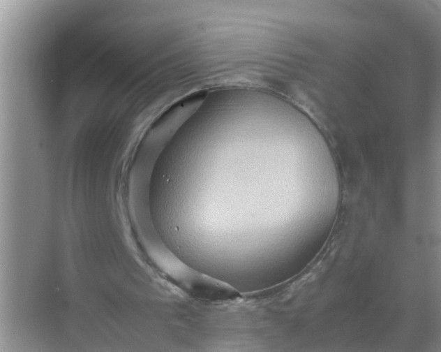 X0000071760193200607150011