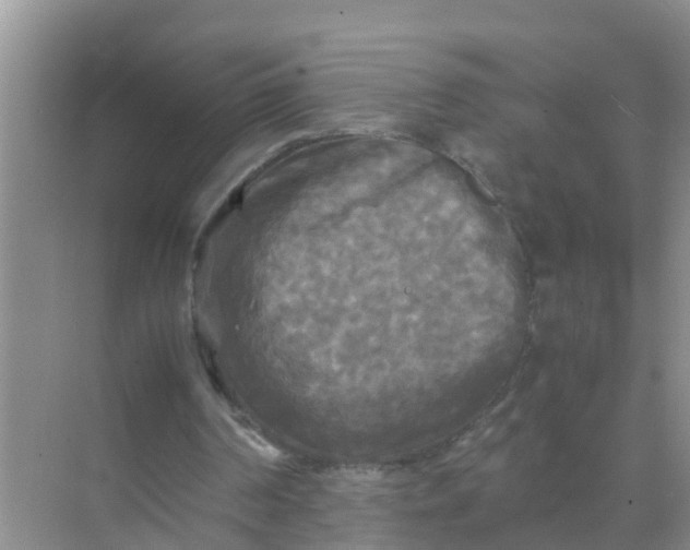 X0000071760194200607150011