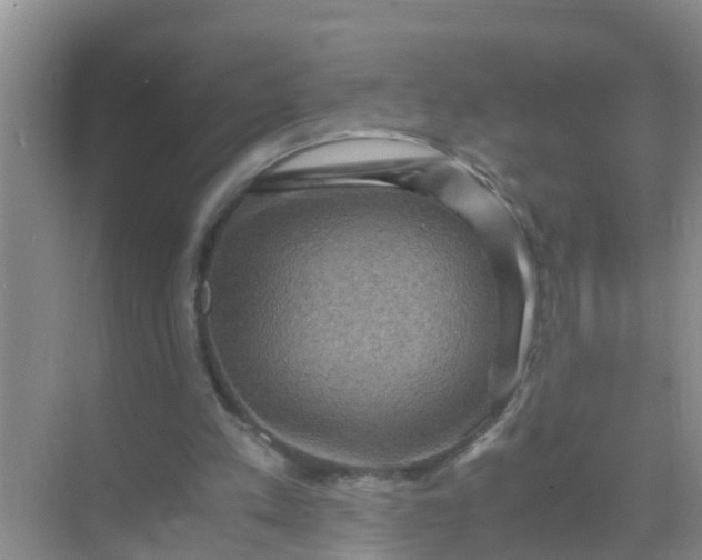 X0000071760197200607150011