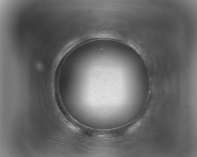 X0000071760199200607150011