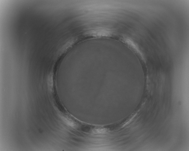 X0000071760202200607150011