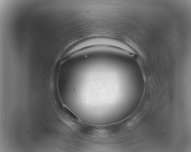 X0000071760203200607150011