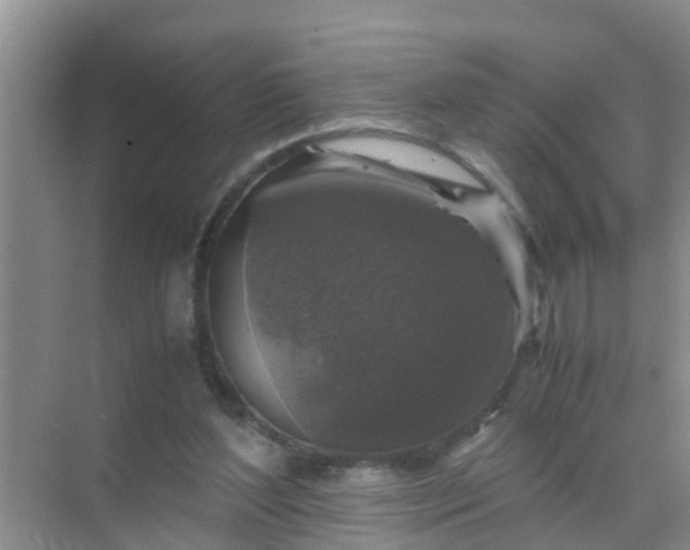 X0000071760204200607150011