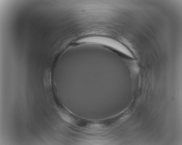 X0000071760205200607150011