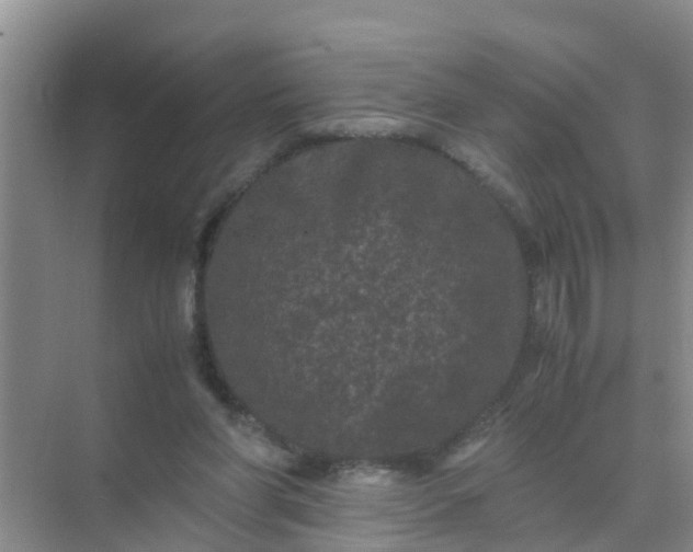 X0000071760206200607150011