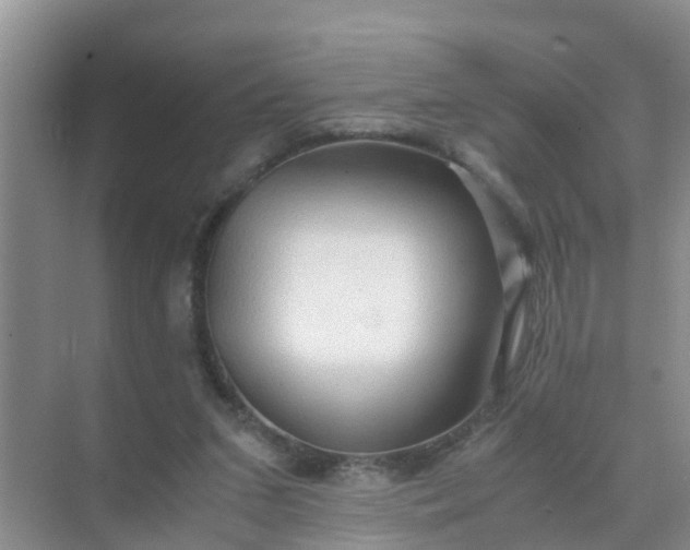 X0000071760207200607150011