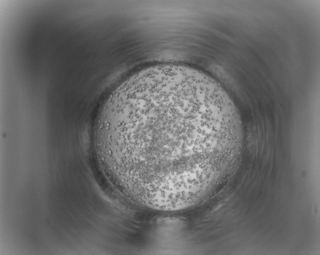 X0000071760208200607150011