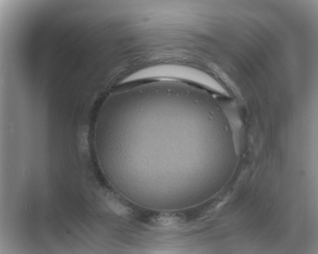 X0000071760209200607150011