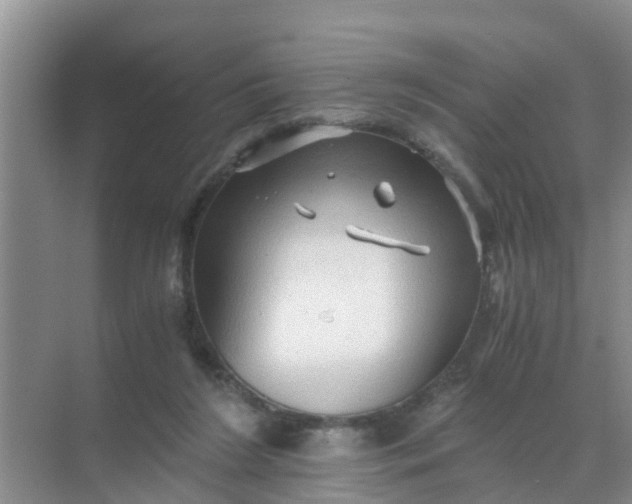 X0000071760212200607150011