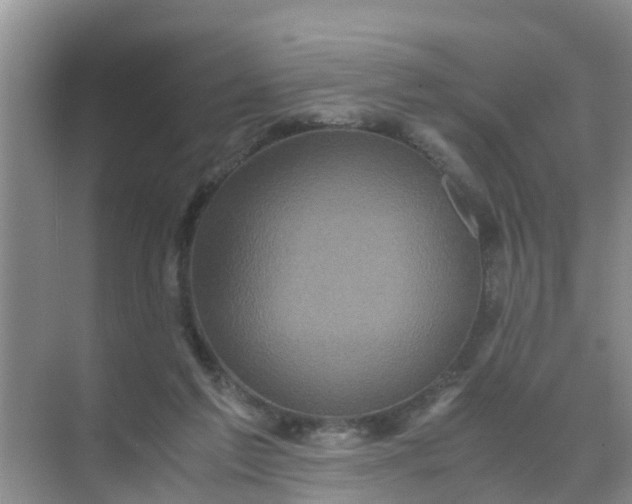 X0000071760213200607150011