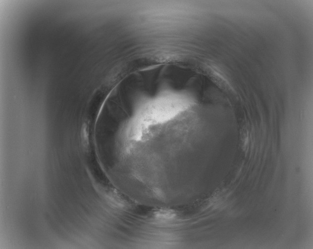 X0000071760214200607150011