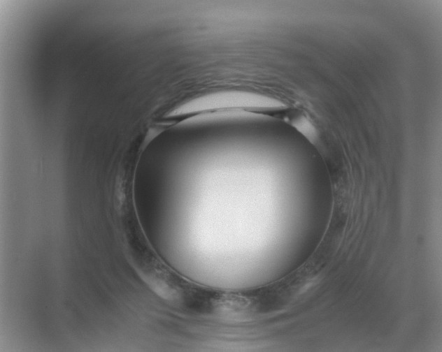 X0000071760215200607150011