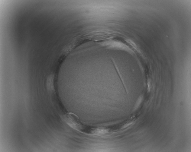 X0000071760217200607150011