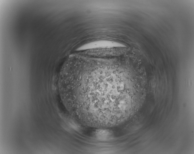 X0000071760218200607150011