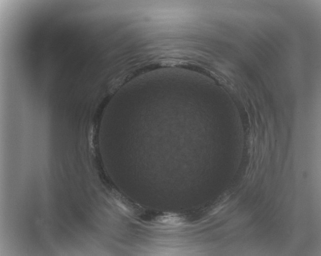 X0000071760219200607150011