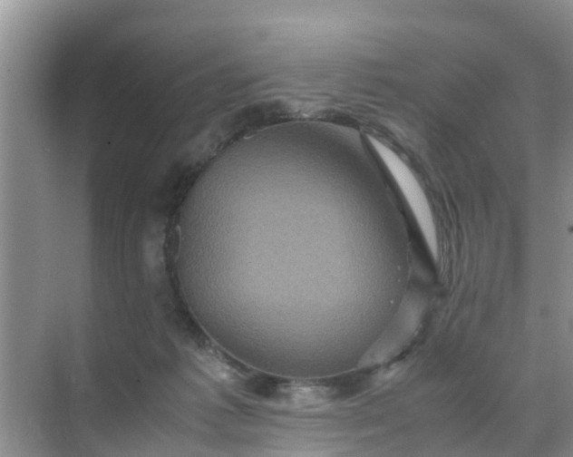 X0000071760221200607150011