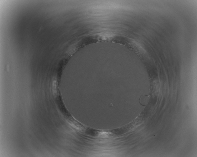 X0000071760222200607150011