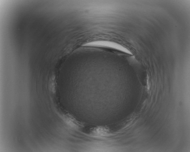 X0000071760223200607150011