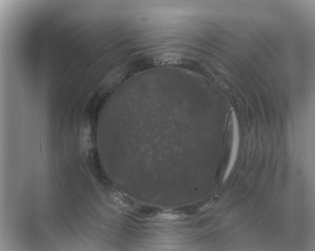 X0000071760224200607150011