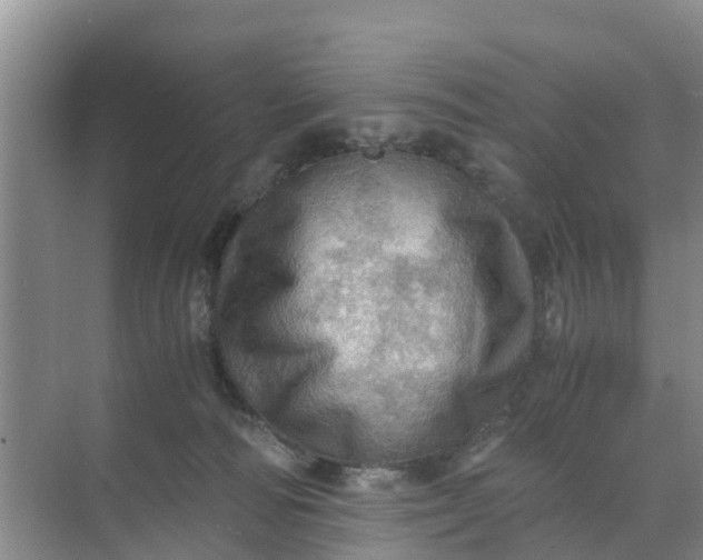 X0000071760226200607150010