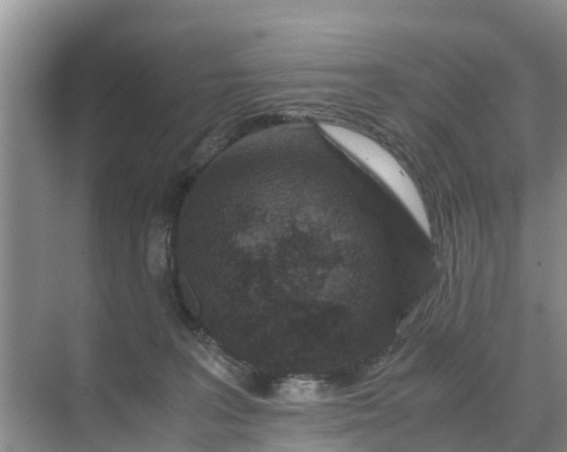 X0000071760227200607150010