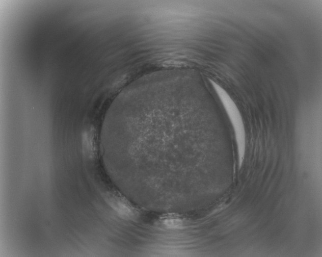 X0000071760228200607150010