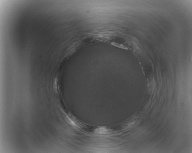 X0000071760231200607150010