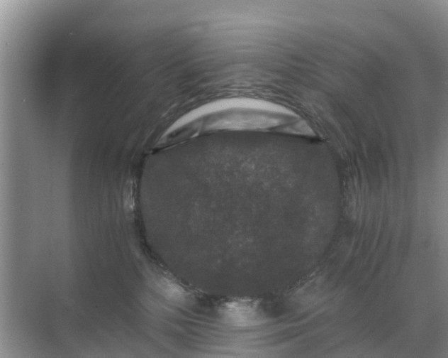 X0000071760232200607150010