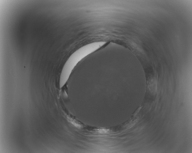 X0000071760233200607150010