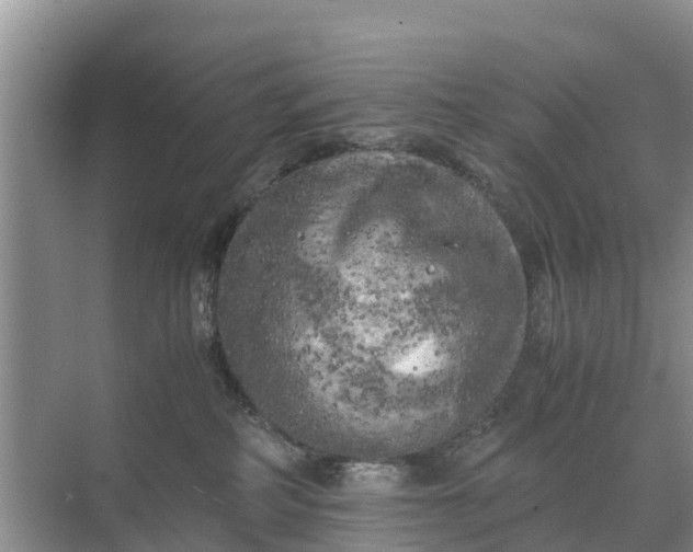 X0000071760234200607150010