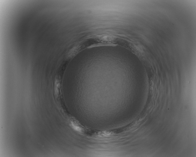 X0000071760235200607150010