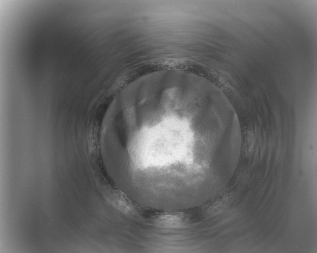 X0000071760236200607150010