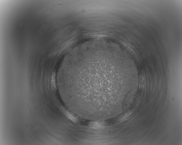 X0000071760238200607150010